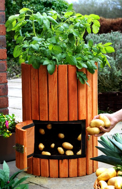 40 Liter Kartoffelfass aus Holz, 60cm x 35cm, Lacewing™